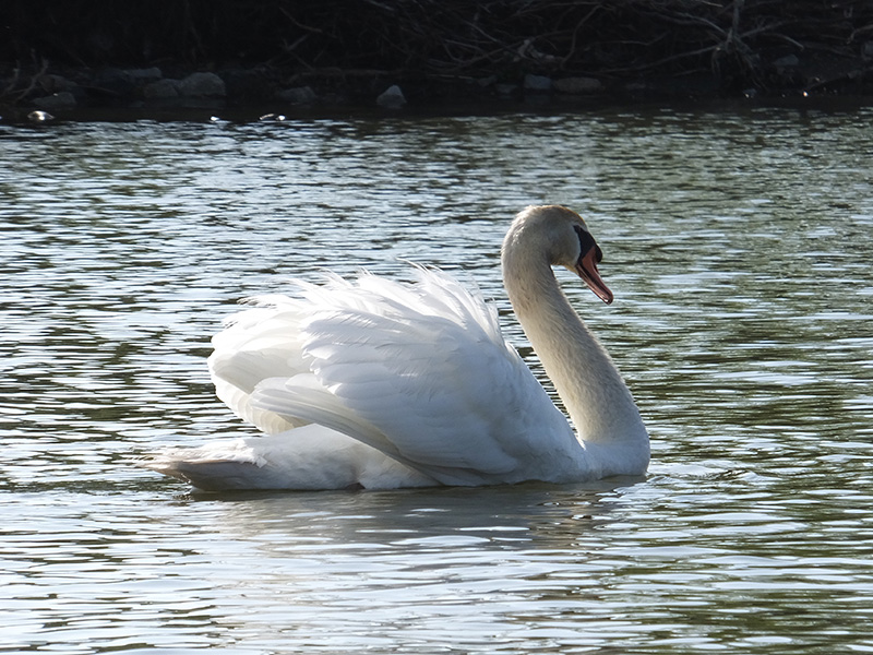 20150427_11