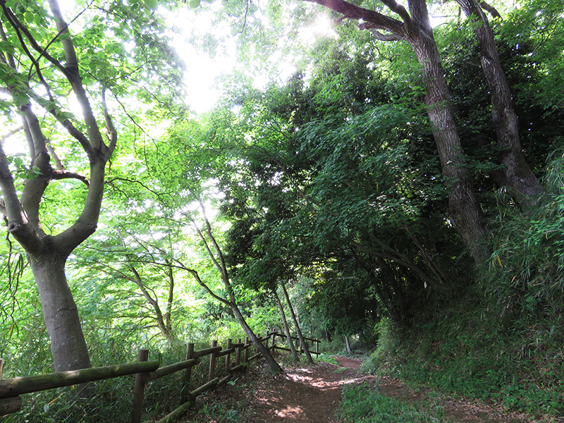 20150517_11