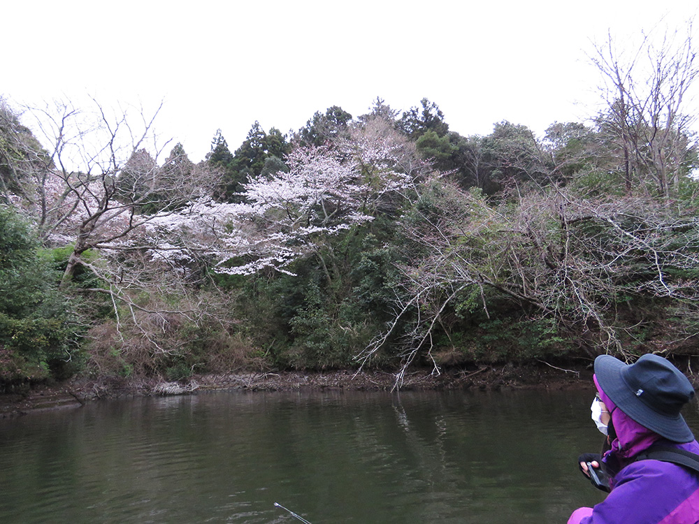 20160404_04