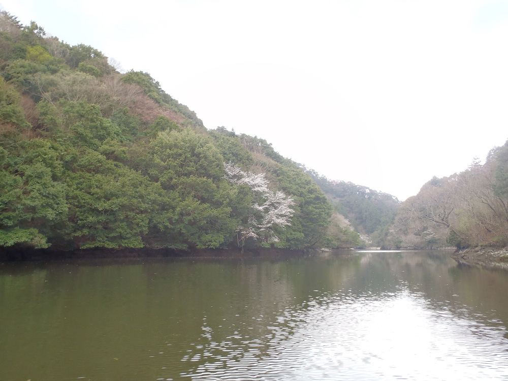 20160404_09