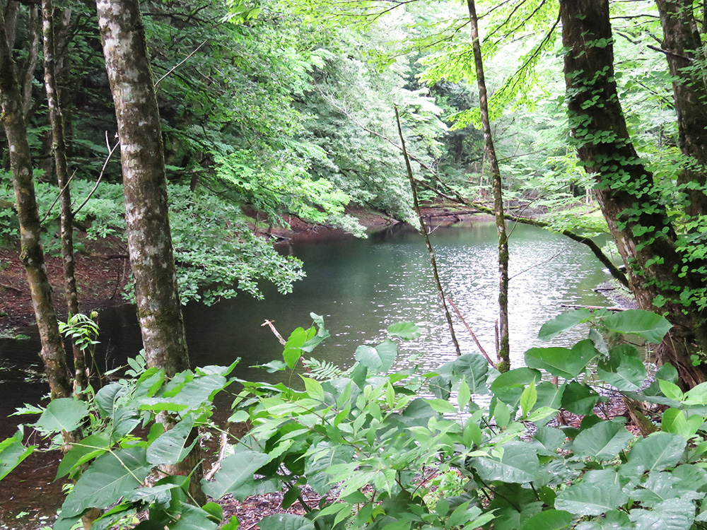 20160702_05
