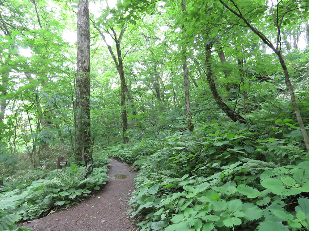20160702_09