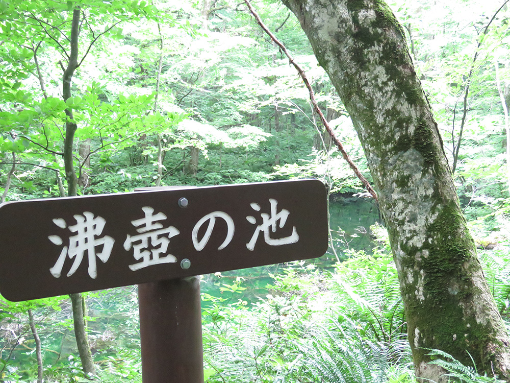 20160702_10